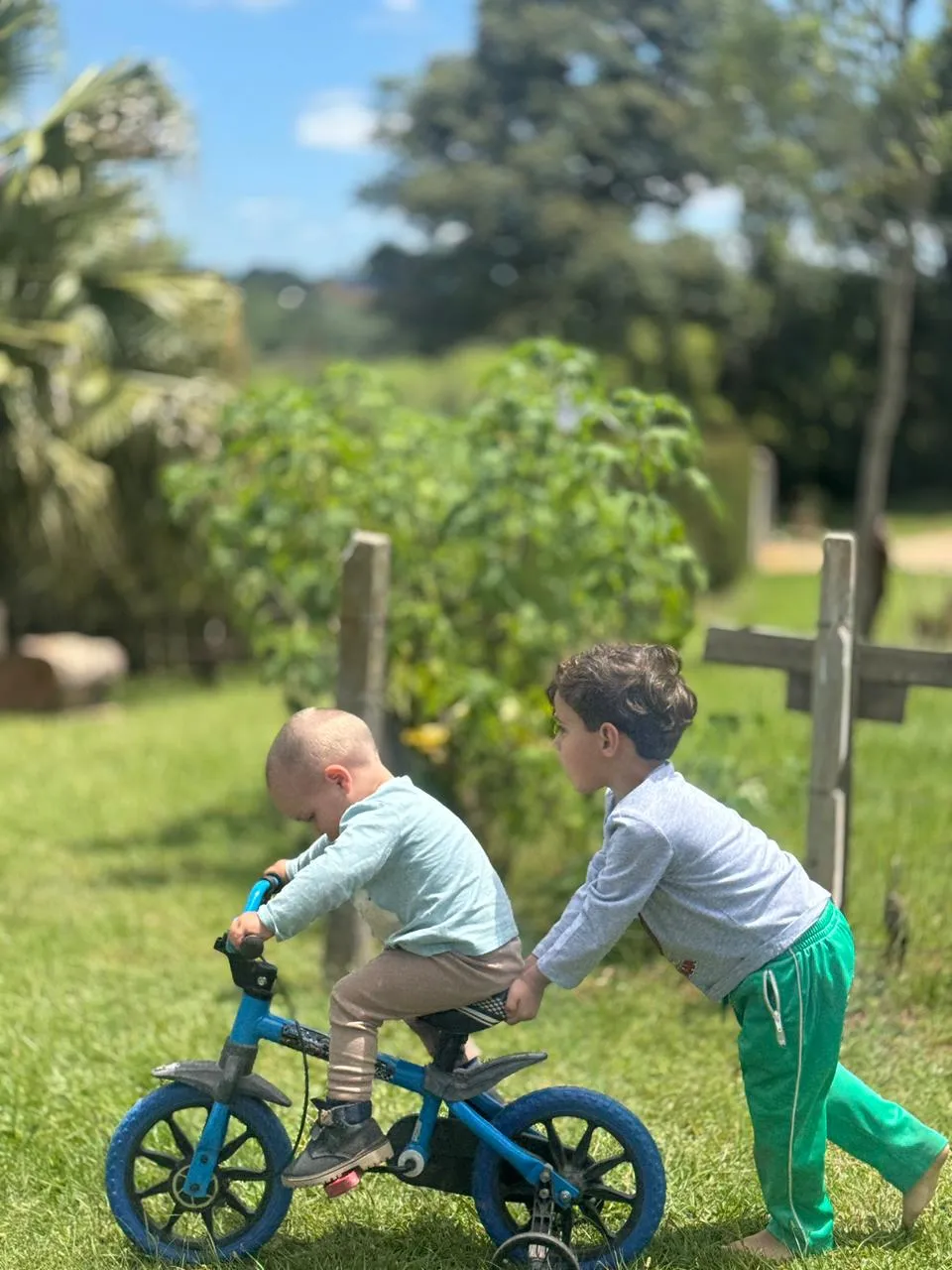 Duas crianças brincando na grama, um menino empurrando o outro em uma bicicleta azul