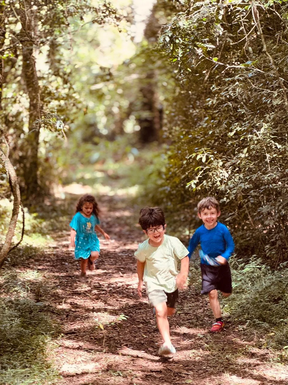 Três crianças correndo felizes em direção à câmera por um caminho cercado por árvores na mata