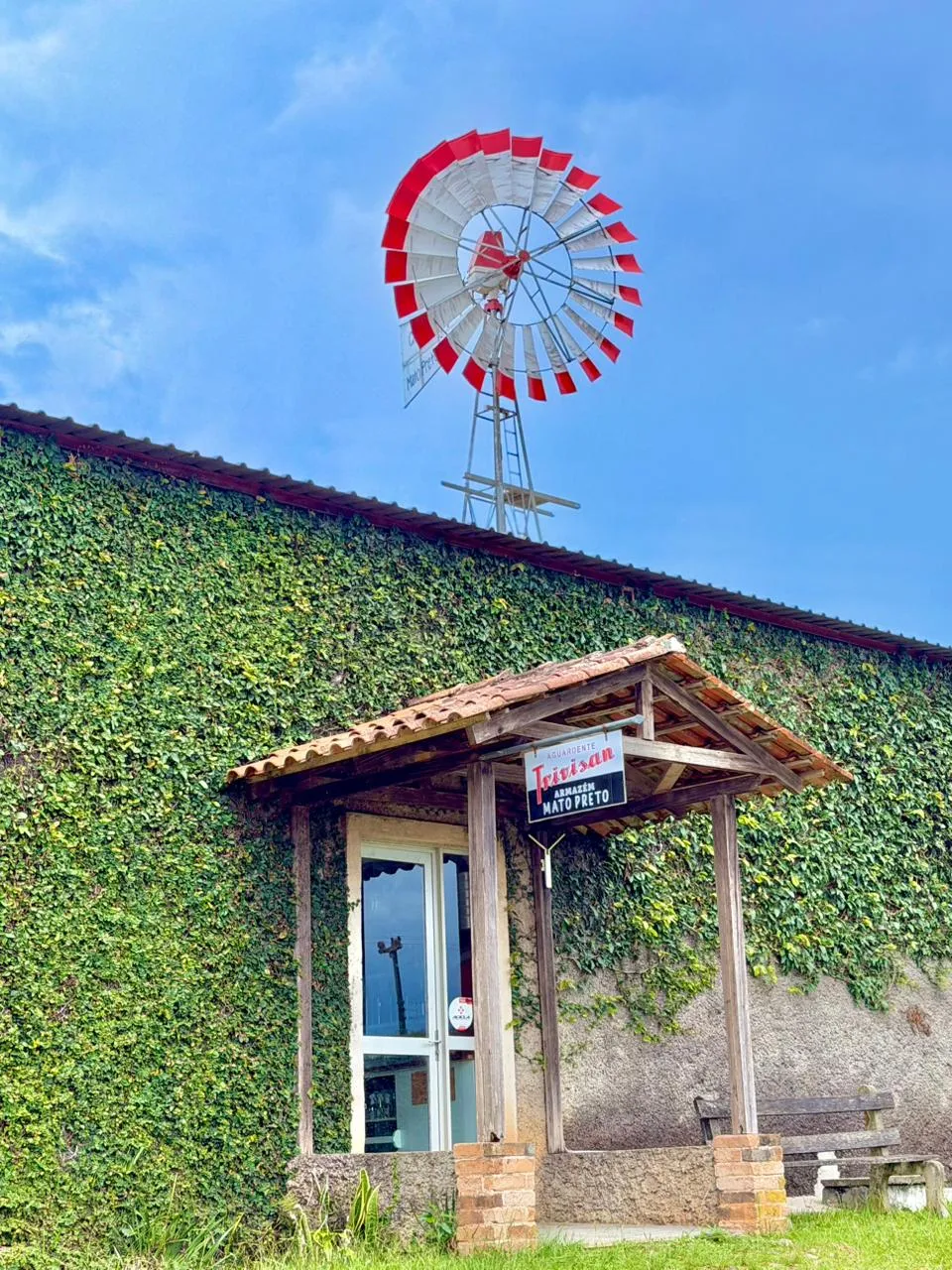 Fachada recoberta com trepadeiras verdes do Armazém Mato Preto coroado por charmoso cata-vento vermelho no telhado