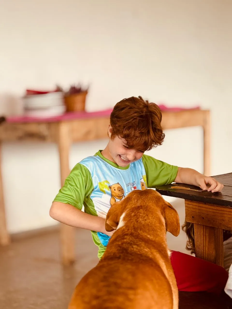 Menino sorridente de camiseta verde oferecendo carinho para um cachorro caramelo