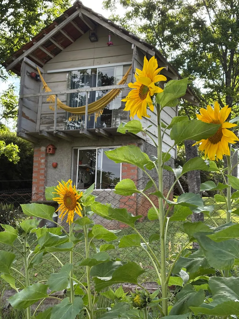 Fachada de charmoso chalé rústico de madeira de dois andares com grandes girassóis floridos em primeiro plano