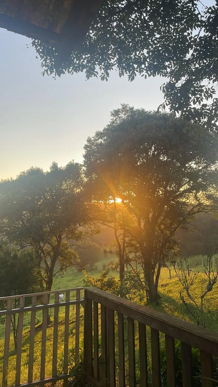 Deslumbrante raio de sol nascendo por entre as copas das árvores no amanhecer visto a partir da varanda do chalé